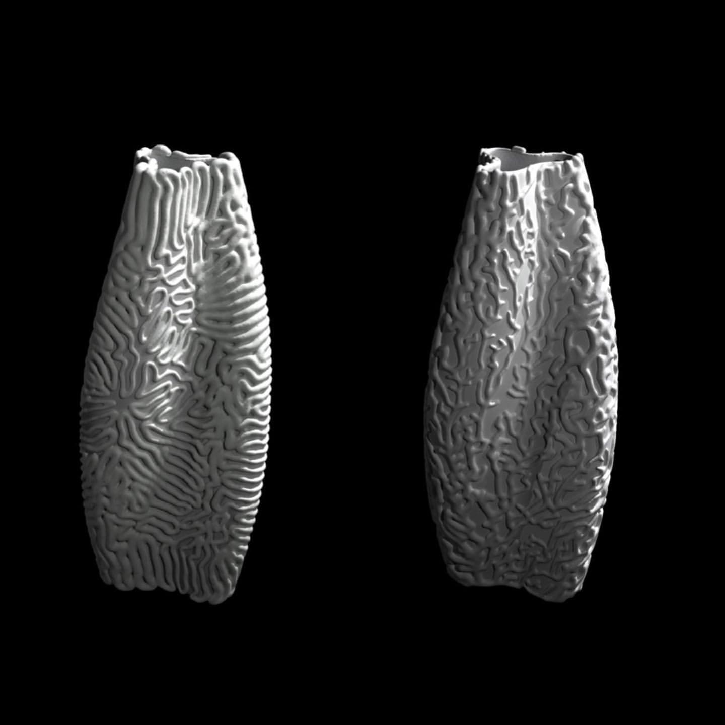 Morphogenetic Vase