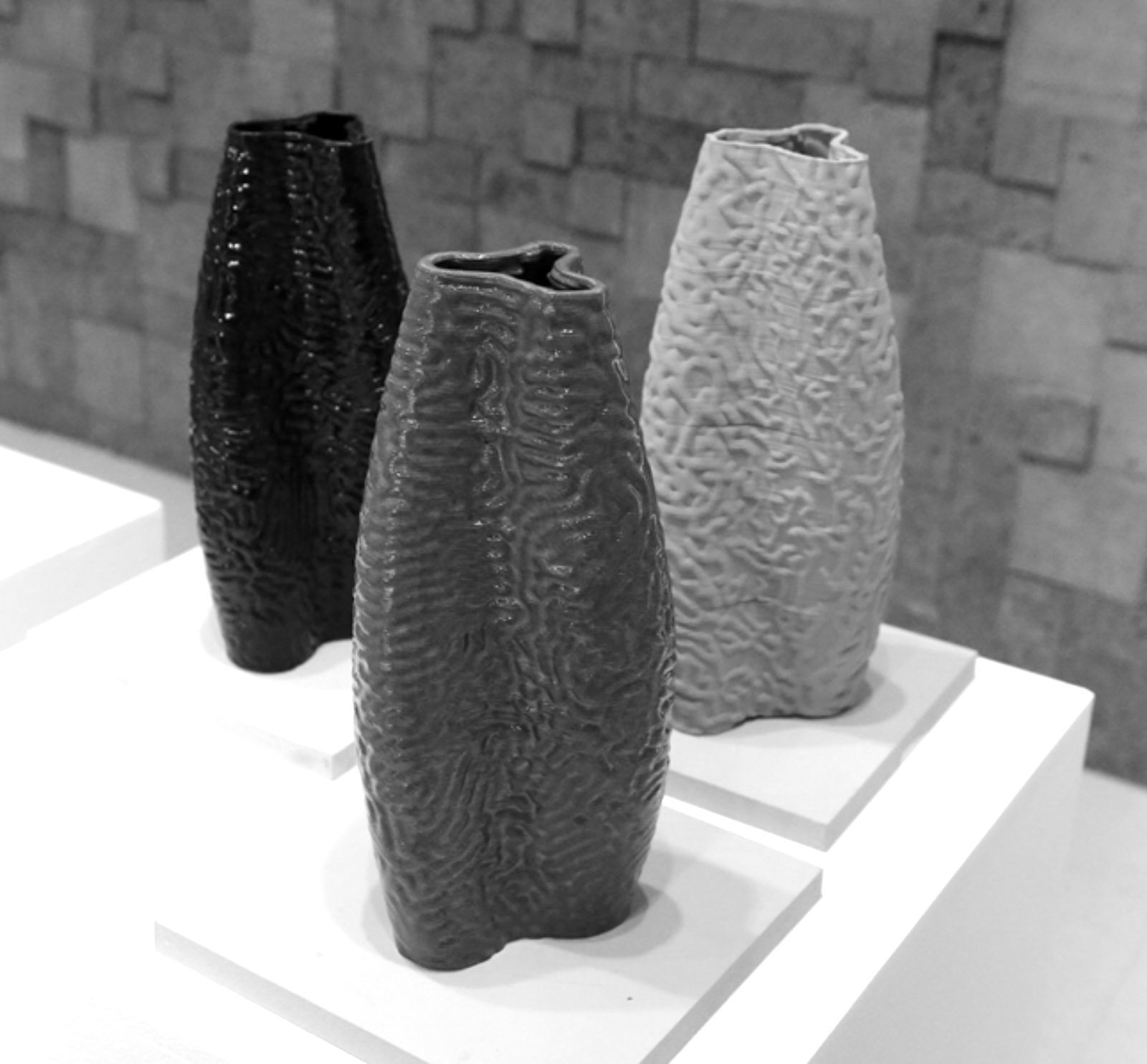 Morphogenetic Vase 04
